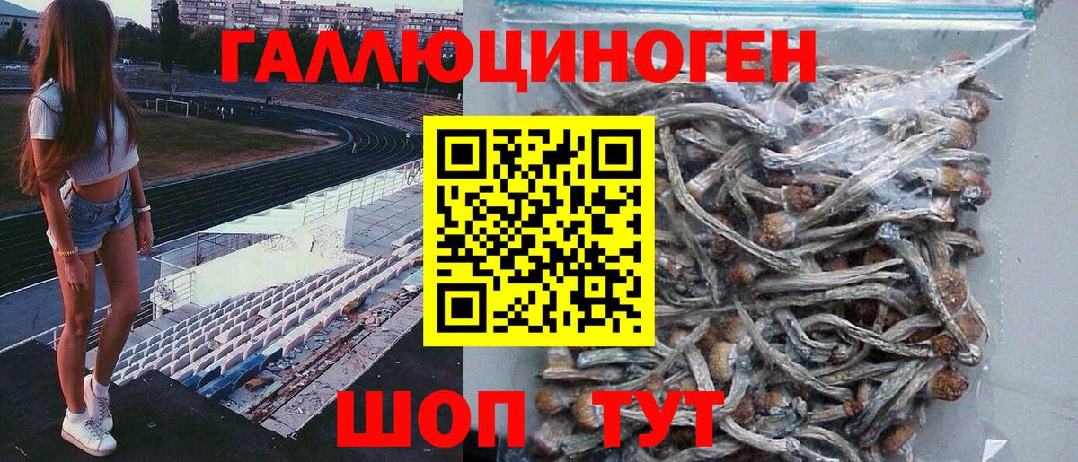 Псилоцибиновые грибы мицелий Богородск