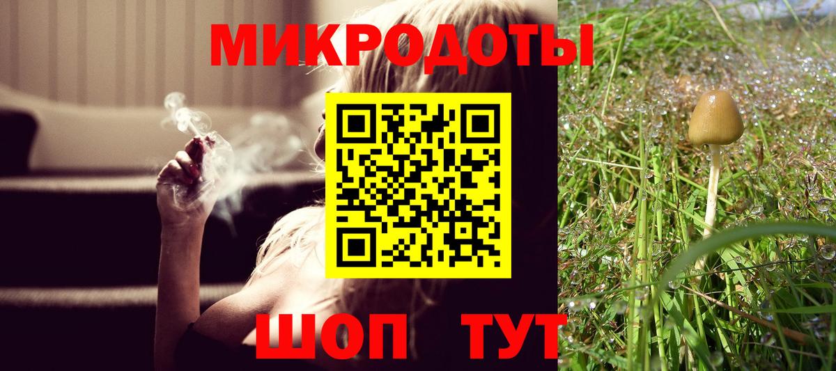 Богородск  Галлюциногенные грибы прущие грибы  Вход с VPN 